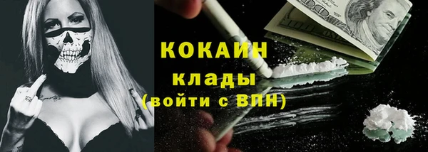 молекула духа Арсеньев