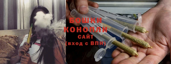 молекула духа Арсеньев