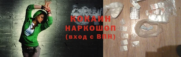 молекула духа Арсеньев
