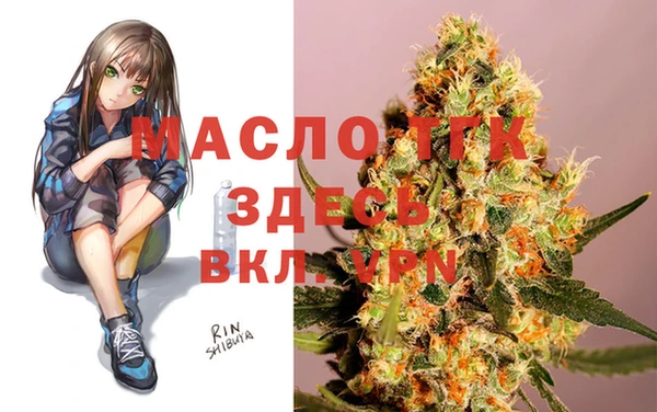 молекула духа Арсеньев