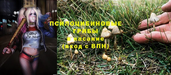 молекула духа Арсеньев
