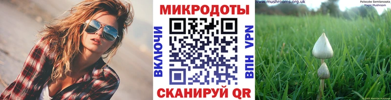 Псилоцибиновые грибы Cubensis Калязин